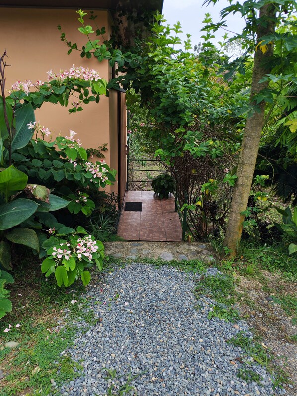 A pathway leading to a building entrance surrounded by lush greenery and flowering plants.