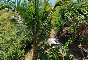 Economy Double Room, Mountain View | Terrace/patio - Kalegio Lodge Full Furnished Apartments (Quepos)