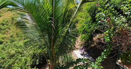 Kalegio Lodge Full Furnished Apartments