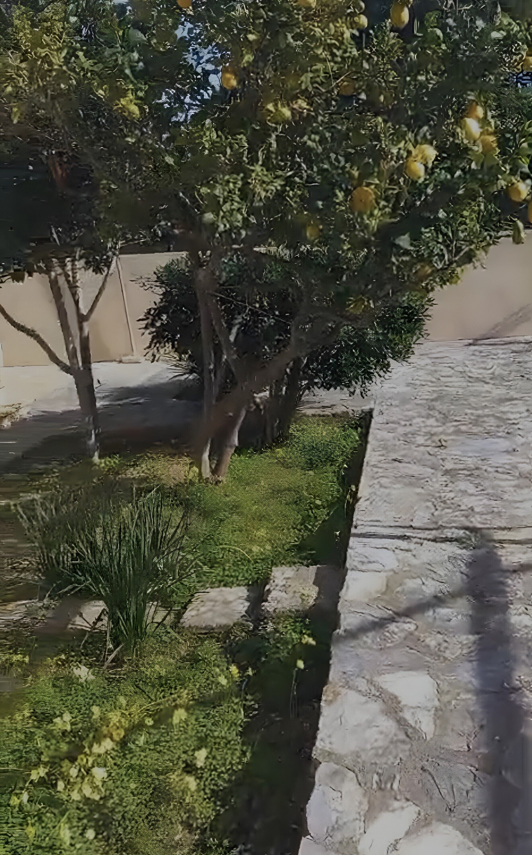 Área da propriedade