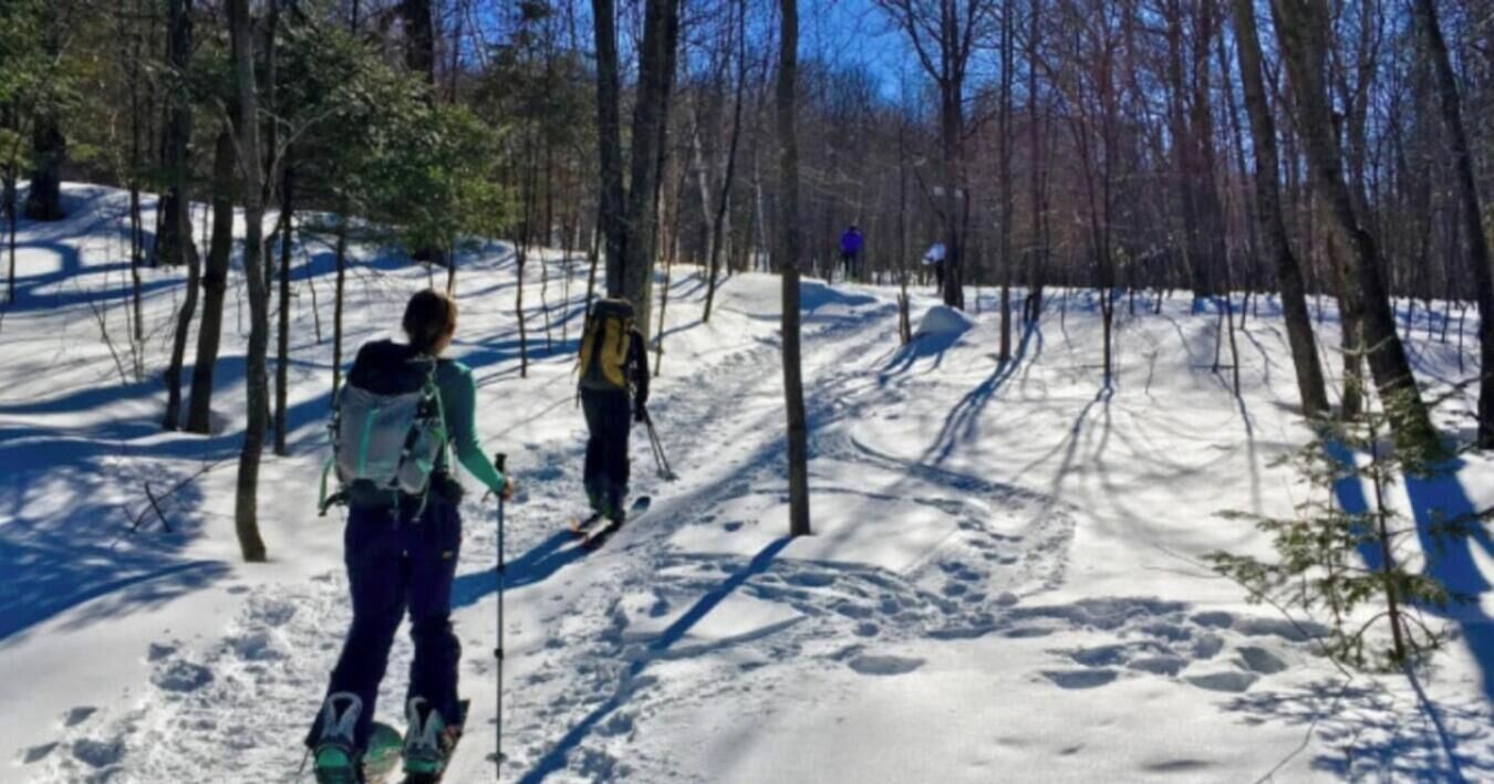 A snowy forest trail with skiers.