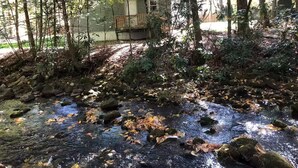 Un espacio natural al aire libre con un arroyo, rodeado de árboles y un pequeño edificio.