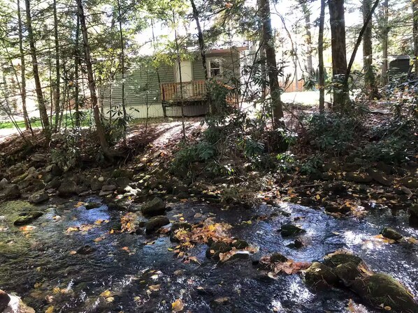 A natural outdoor area with a stream, surrounded by trees and a small building.