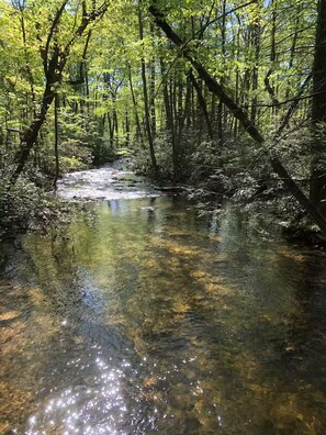 Niet-geclassificeerde afbeelding, 2 van 24, knop