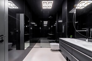 Shower, hair dryer, towels, soap - Luxury Villa Black Cube with heating pool (Brašina)