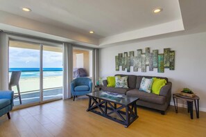 TV, fireplace - Oceanfront with Parking BBQ and Adventure! (San Diego)