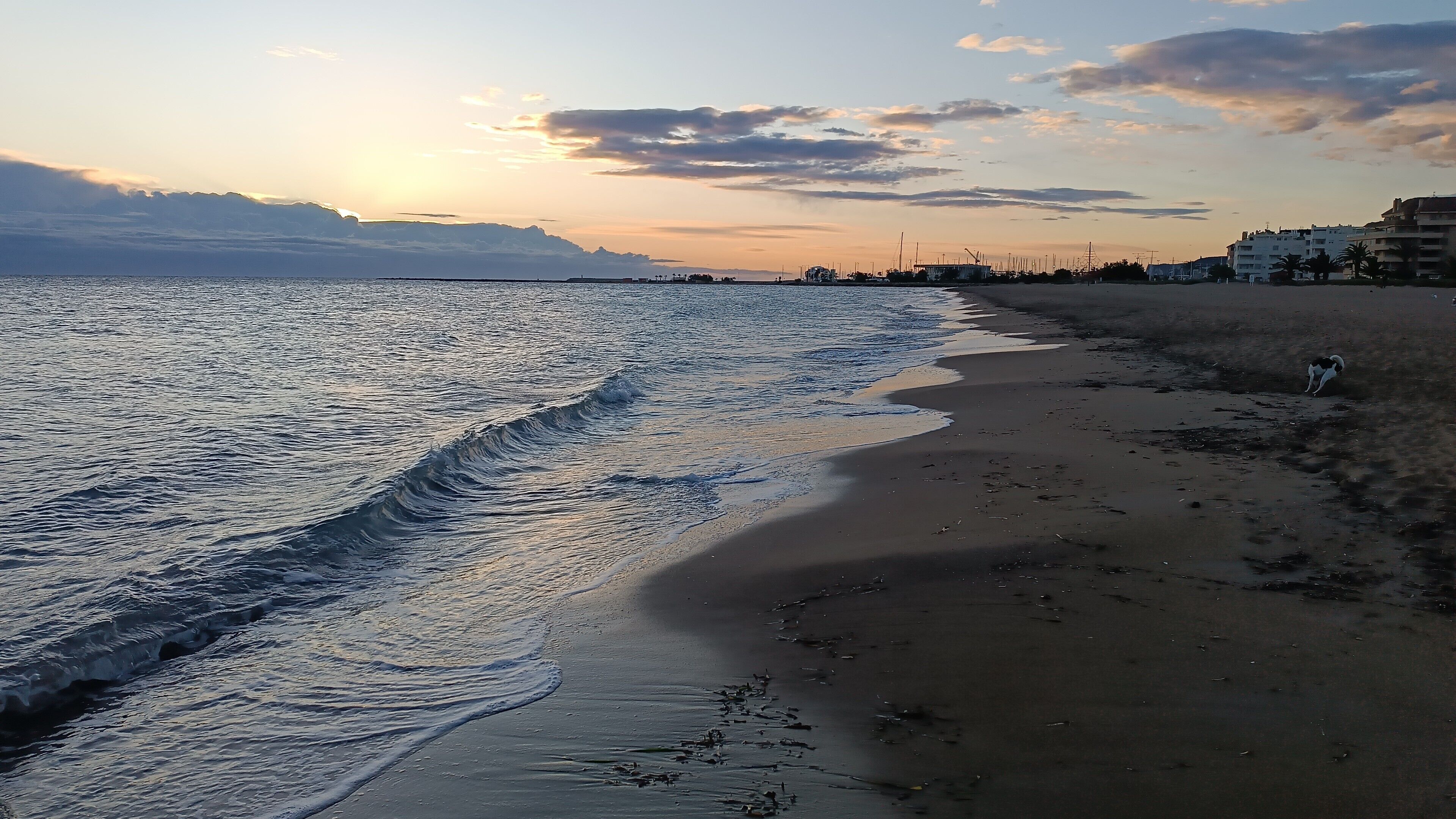 Strand
