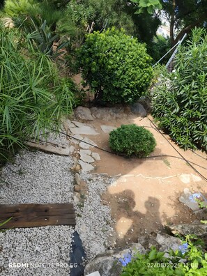 未分类图片，第 2 张，共 16 张，按钮