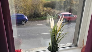 Ein Fenster mit Blick auf eine Straße und Felder, ein Blumentopf auf der Fensterbank und ein Teilweise verdeckender Vorhang.