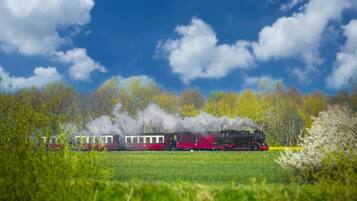 A steam locomotive with passenger cars, traveling through a green landscape with trees and a clear blue sky.