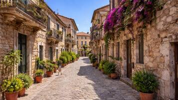 Appartamento, 1 camera da letto, patio | Esterni