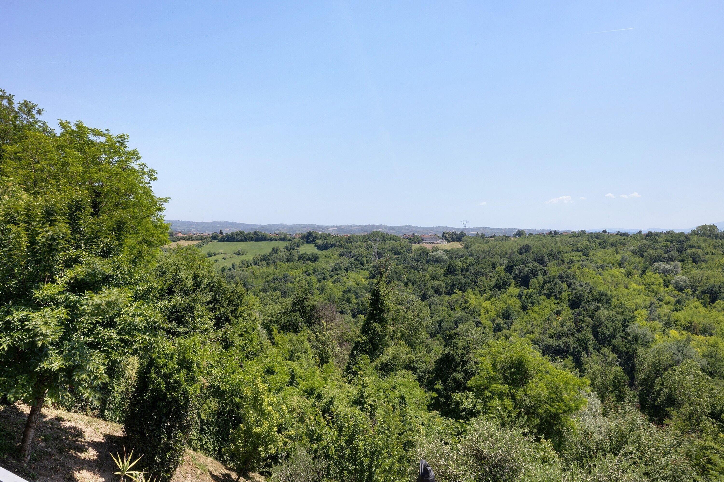 A landscape view with dense greenery and a clear sky.