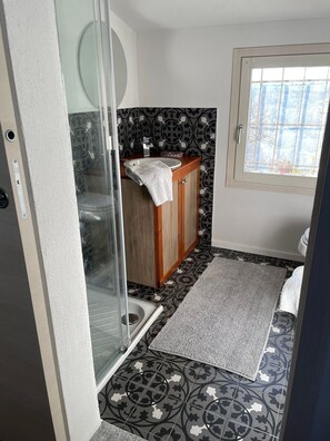 Shower, hair dryer, towels