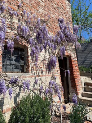 Photo non classée, 5 sur 16, bouton