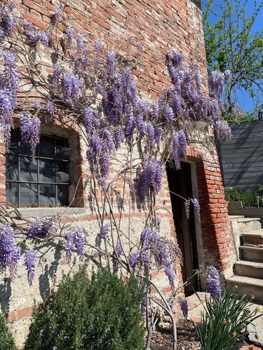 Holiday Home 'La Casa di Noah' with Langhe View, Private Terrace & Wi-Fi