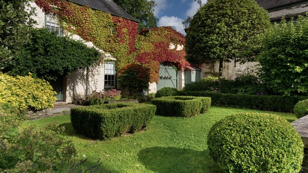 A well-maintained garden with neatly trimmed hedges, a white building with ivy, and a large tree. - North Cottage (Llandovery)