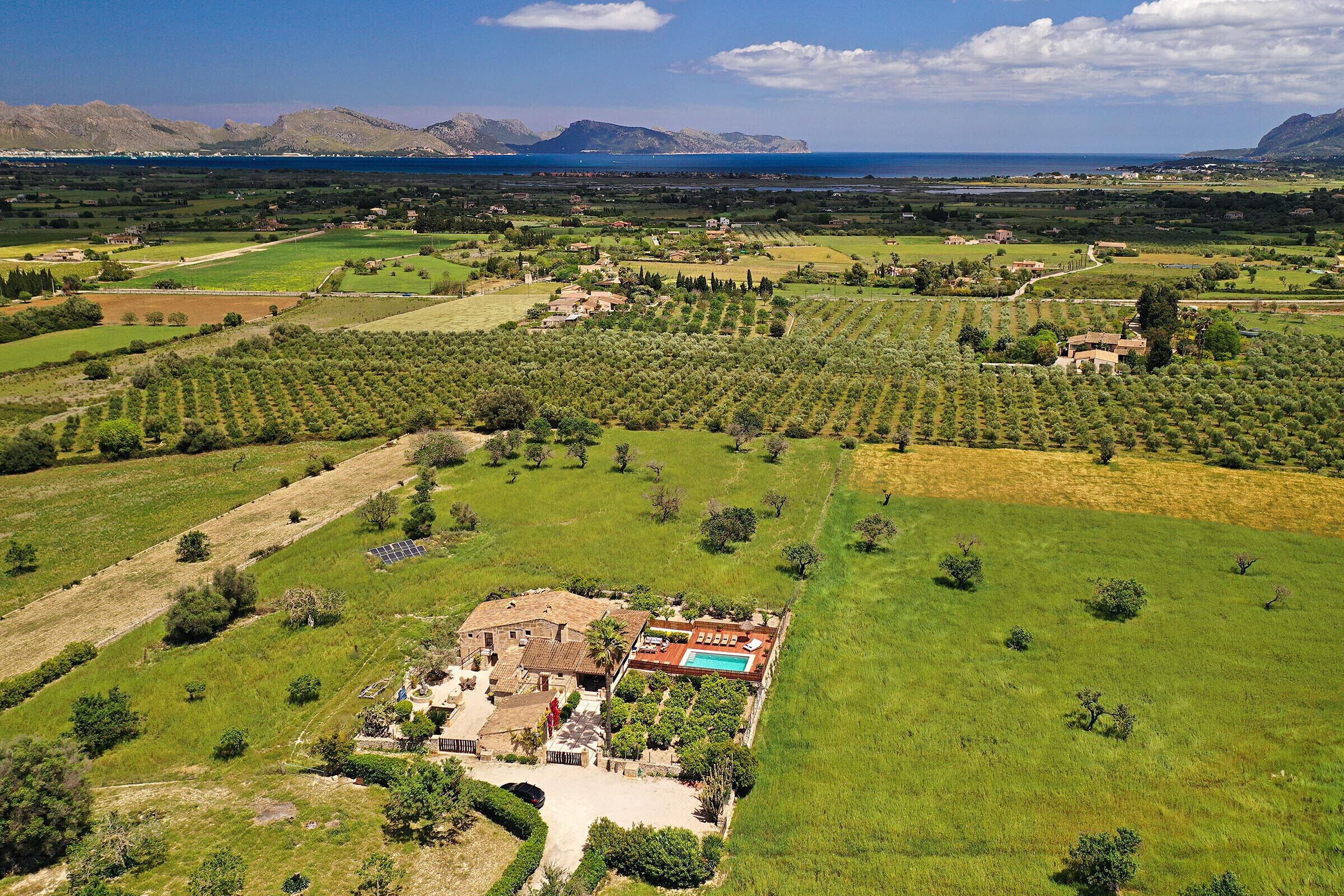 An aerial view of a property with olive groves, a swimming pool, and a large house with a courtyard.