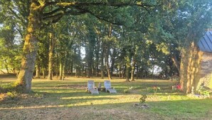 A serene outdoor area with two lounge chairs under large trees, a grassy lawn, and a rustic building in the background. - Bed & Breakfast (Maxent)