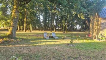 Área da propriedade