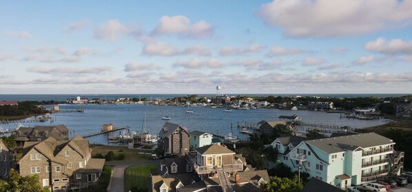 Unclassified image, 1 of 12, button