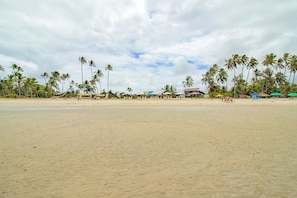 Ein Strand mit Palmen, Strandhütten und blauem Himmel.