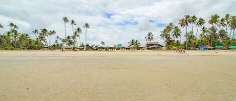 A beach with palm trees, beach huts, and a clear sky.