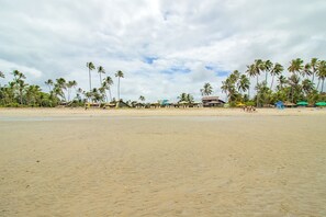 เบสิกอพาร์ทเมนท์ | ชายหาด | บนชายหาด
