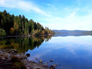 Imagen sin descripción, 4 de 16, botón