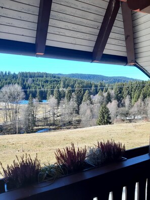 Niet-geclassificeerde afbeelding, 4 van 15, knop