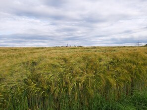 Nicht klassifiziertes Bild, 3 von 15, Schaltfläche