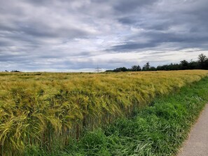 Imagem sem classificação, 4 de 15, botão