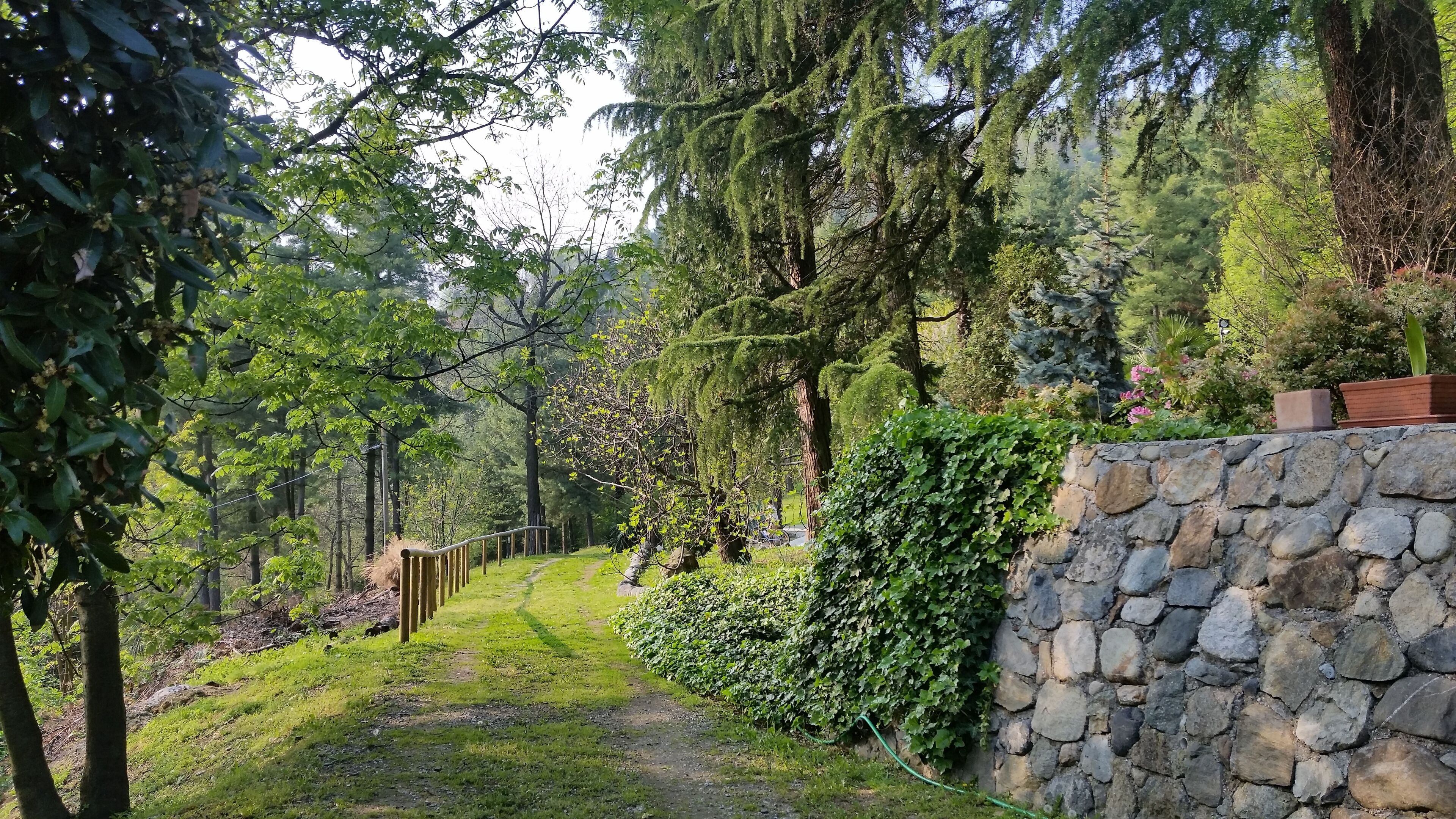 Eine steine Mauer mit einem Pfad, der durch einen üppigen Garten mit verschiedenen Bäumen und Sträuchern führt.