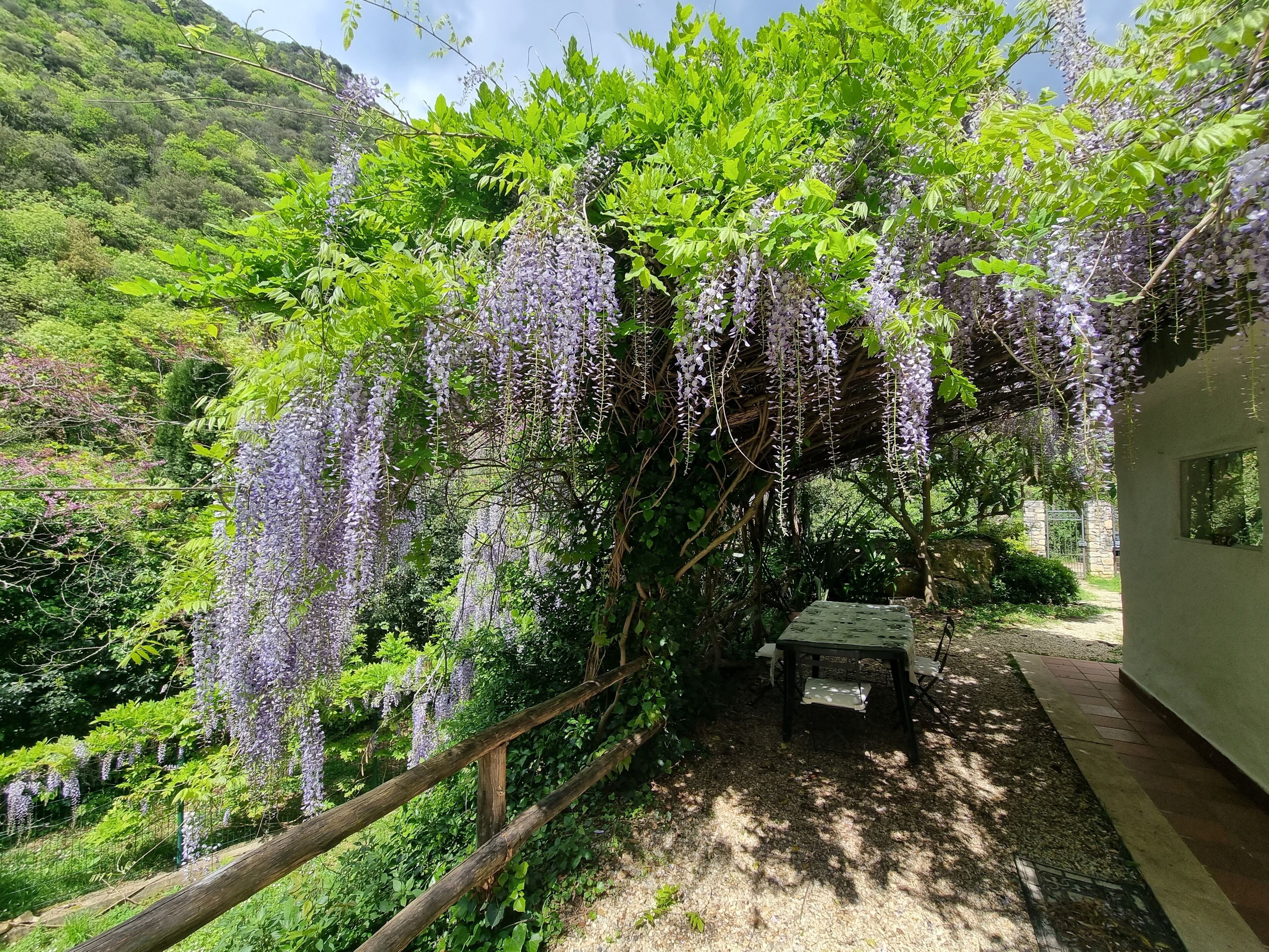 Udendørs spisemuligheder