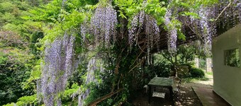 Bikers cottage in the woods 5 minutes from the sea,
