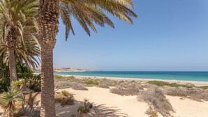 Een strand met palmbomen, zand en een heldere blauwe zee.
