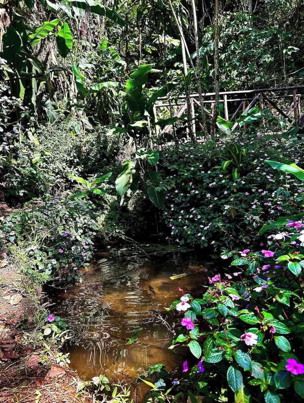 Jardines del alojamiento