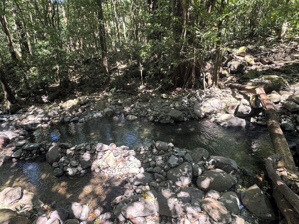 A natural stream with rocks and trees.