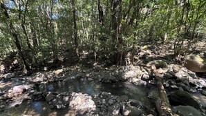 A natural rocky stream surrounded by dense forest. - Peaceful campground in Monteverde perfect for nature lovers (San Luis de Monteverde)