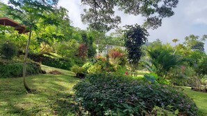 A lush garden with various plants and trees, a stone wall, and a building in the background. - Peaceful campground in Monteverde perfect for nature lovers (San Luis de Monteverde)