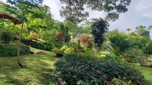 Niet-geclassificeerde afbeelding, 3 van 10, knop