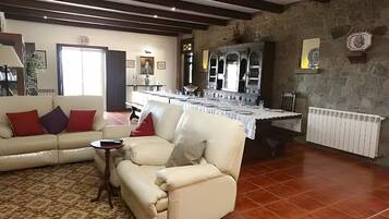 TV, fireplace, ping pong