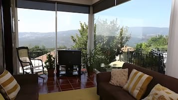 TV, fireplace, ping pong