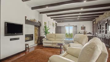 TV, fireplace, ping pong