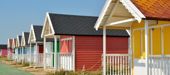 Sea Palm  | By My Getaways