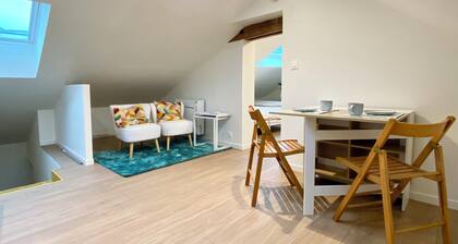 Charming new studio under the roof - center Montbazon