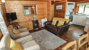 A cozy cabin interior with a fireplace, a sofa, a television, and a kitchen area. - Ash Lodge (Llanelli)