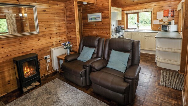 L’intérieur d’une cabane en rondins, avec une cheminée, un canapé en cuir, des murs en bois et un coin cuisine.