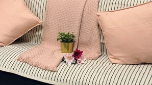 Un canapé avec un tapis à carreaux, une petite plante en pot et deux coussins roses.