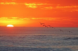 Immagine non classificata, 2 di 29, pulsante