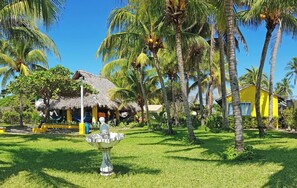 Billede uden beskrivelse, 2 af 29, knap